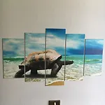 Acqua Marina