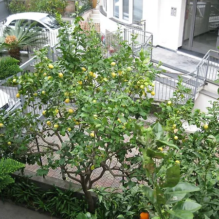 Acqua Marina 알비솔라마리나