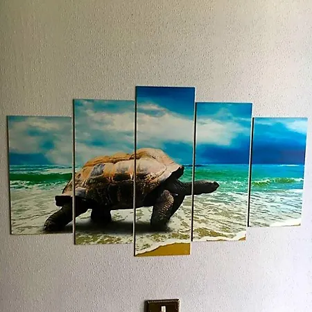 Hotel Acqua Marina 2*