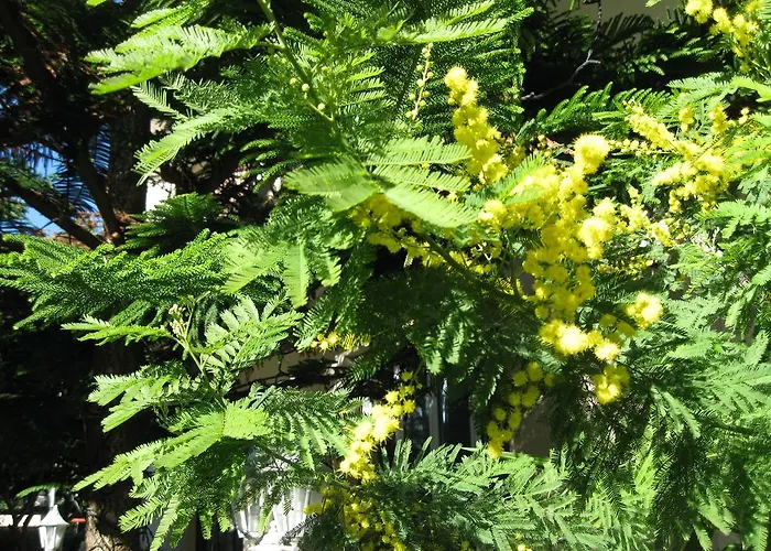 Hotel Acqua Marina 2*