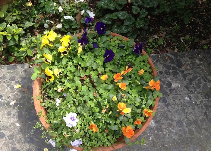 Acqua Marina Albissola Marina