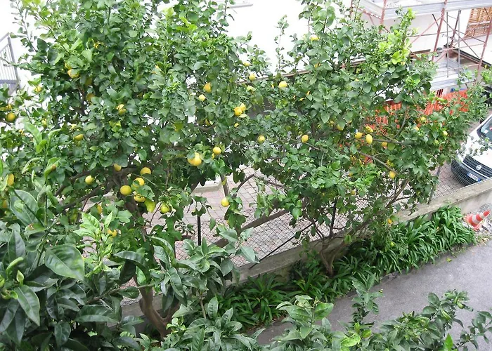 Hotel Acqua Marina Albissola Marina