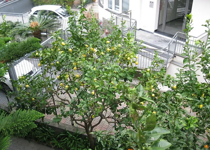 Acqua Marina Albissola Marina